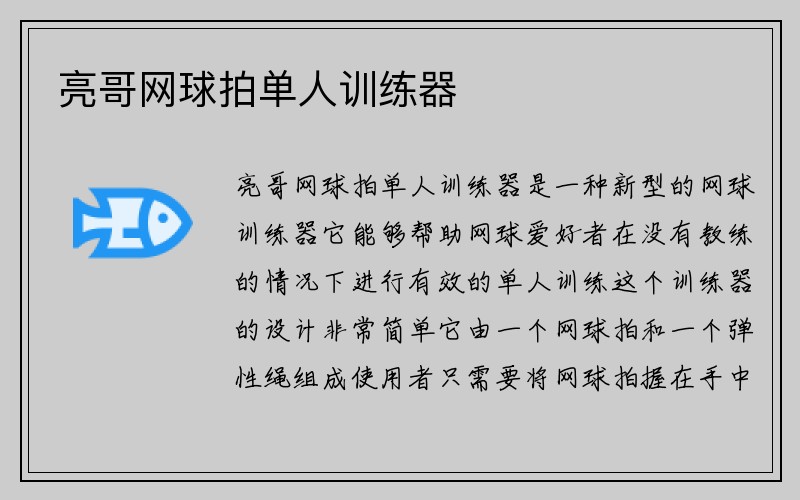 亮哥网球拍单人训练器