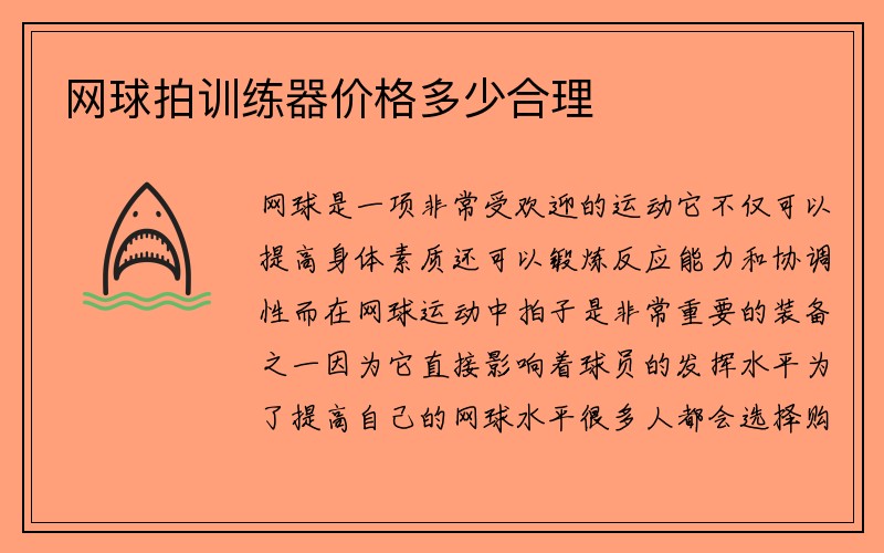 网球拍训练器价格多少合理